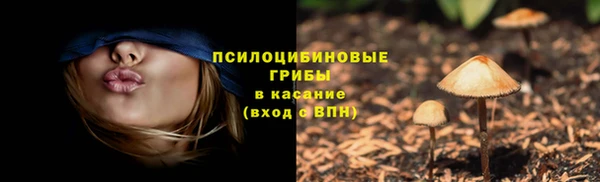 синтетический гашиш Новозыбков